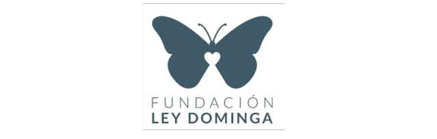Fundacion dominga 1